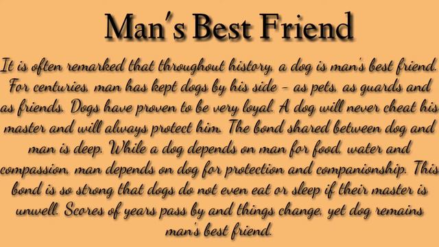 Paragraph Writing | Exercise | Paragraph Writing смотреть онлайн