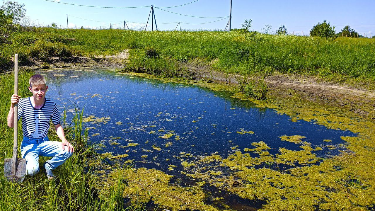 Пруд на даче превратился в болото! Пруд летом! Первые проблемы! смотреть онлайн