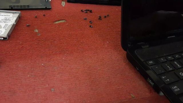 Maintenance of Toshiba Satellite L850 laptop смотреть онлайн