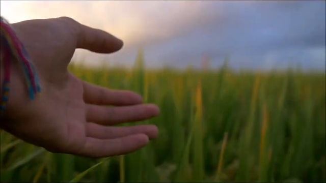 Отражение лика Друга. Суфийская поэзия. Алиреза Нурбахш. смотреть онлайн