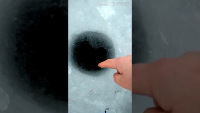 Сахалин,море лед Зубатка и Навага смотреть онлайн