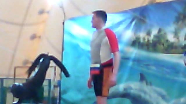 12 февраля 2017 г. смотреть онлайн