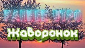 Раннее утро. Жаворонок  Early morning. Lark