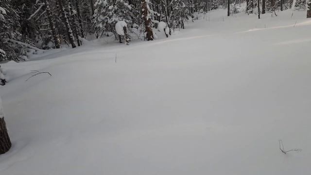 2021.01.23. Крючково, снег 80 см, морозец -20 C. смотреть онлайн