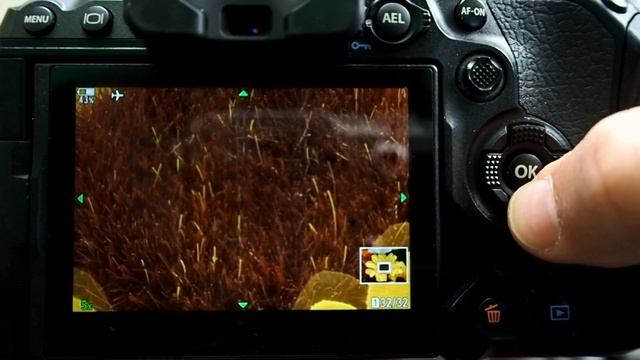 OM System OM 1 Computational Photography: Focus Stacking Tutorial Ep.375