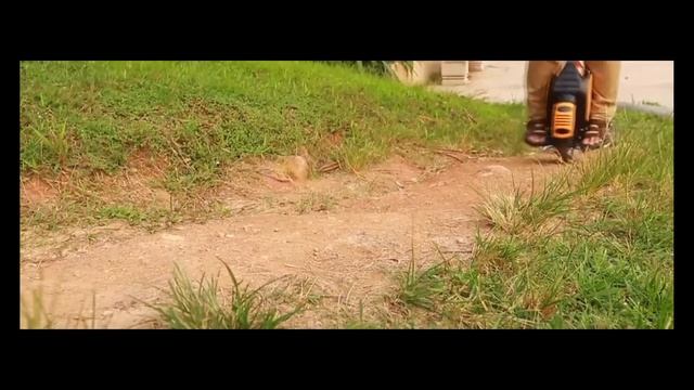 Моноколеса Frewel 2 смотреть онлайн