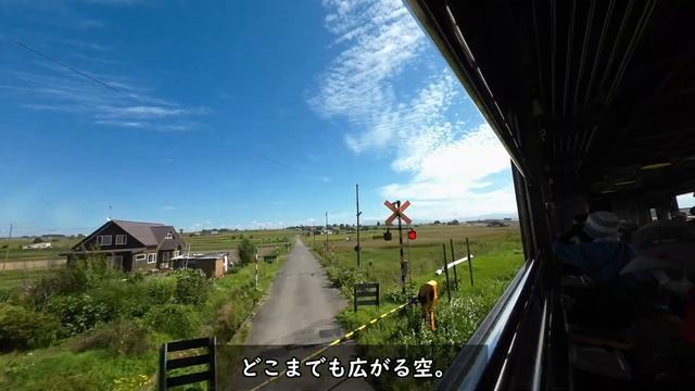 【３泊４日女子一人旅】そうだ、旭川、富良野、美瑛行こ【動物園とノロッコ号】 смотреть онлайн