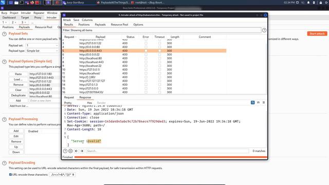 TryHackMe-Nahamstore Server Side Request Forgery (SSRF) смотреть онлайн