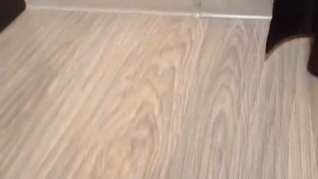 Машина которая сама ездит! смотреть онлайн