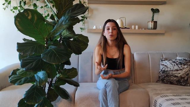 Ficus Lyrata Bakımı Nasıl Yapılır? | Keman Yapraklı Kauçuk смотреть онлайн