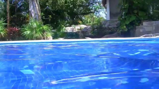 Playa del Carmen with Rose смотреть онлайн
