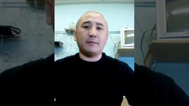 Песня про дельфинов. смотреть онлайн