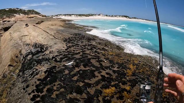 Rock Fishing for Herring | Easy Way to Cook Abalone смотреть онлайн