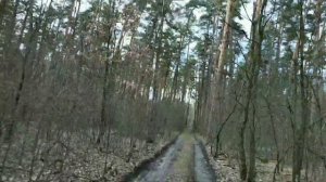 ТОП ПОКАТУШКИ НА САМОДЕЛЬНОМ  ЭЛЕКТРОСАМОКАТЕ ПО БЕЗДОРОЖЬЮ В ЛЕСУ OFF-ROAD ТЕСТ ДРАЙВ