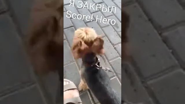 ПРОЭКТ Score! Hero... ЗАКРЫТ смотреть онлайн
