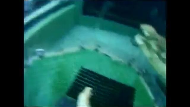 underwater crocodile attack смотреть онлайн