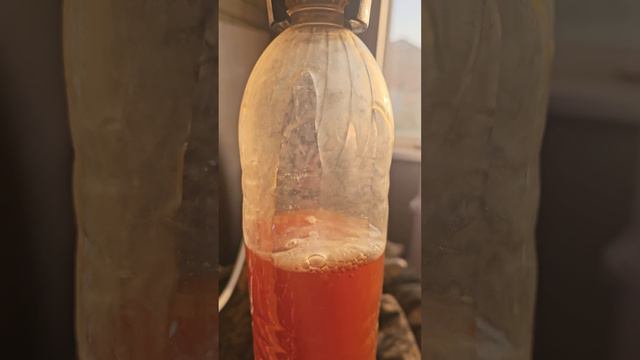 Как налить пиво из кеги? Используем кран Boel iTap! смотреть онлайн