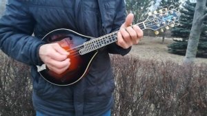 Зажигательная игра на мандолине ?