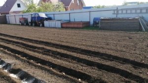 Быстрый способ посадки картофеля