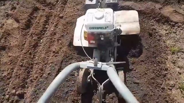 Мотокультиватор Крот. Как правильно культивировать. Советы новичкам