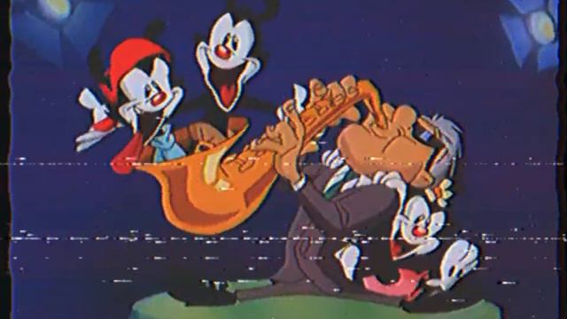 Animaniacs Intro (vhs)