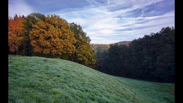 ЕВДОКИМОВ ДЕНЬ смотреть онлайн