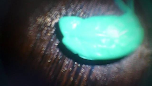 фотообзор на Кетти Нуар Бу Йорк смотреть онлайн