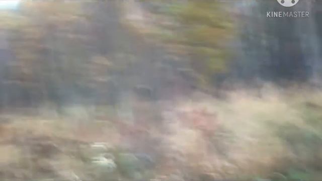 Я ни черта не успеваю.... А завтра зима.... смотреть онлайн