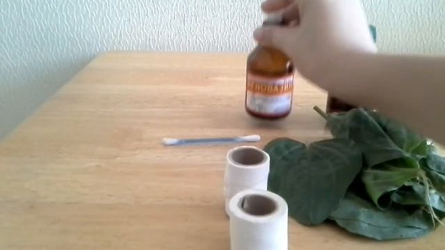 Магическая перекодировка предновогодних талисманов