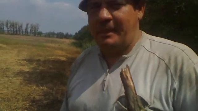 Вот как выглядят настоящие мужики!:)REAL MEN!!! смотреть онлайн