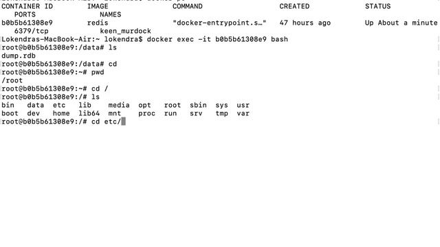 How to run an external command in container | How to get access in container смотреть онлайн