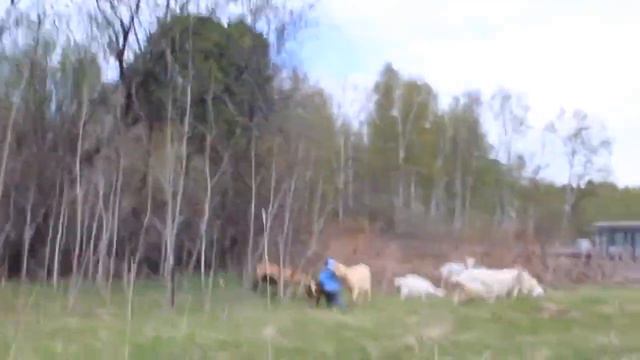 Экопродукты. Что это такое? Часть 1 смотреть онлайн