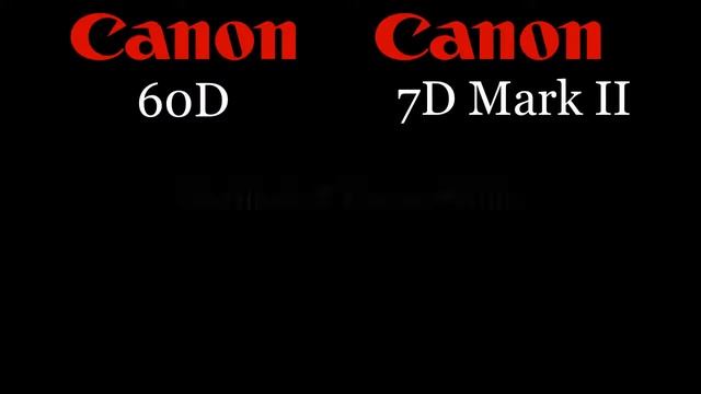 Canon 60D vs Canon 7D Mark II смотреть онлайн