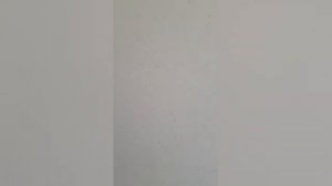 Чем шпаклевать, грунтовать ГВЛ ?