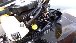 Лодочный мотор Меркурий F6(F4,F5)