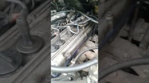 ЗМЗ 405 на холодную троит