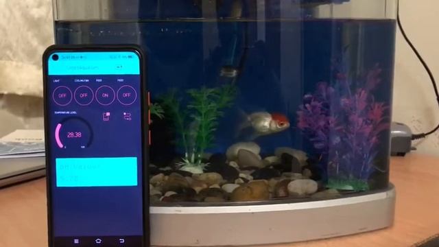 Use Blynk app for turn on and off aquarium light using node mcu esp8266 смотреть онлайн