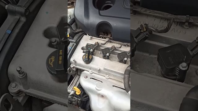 Cangan CS75FL,  минусы эксплуатации.