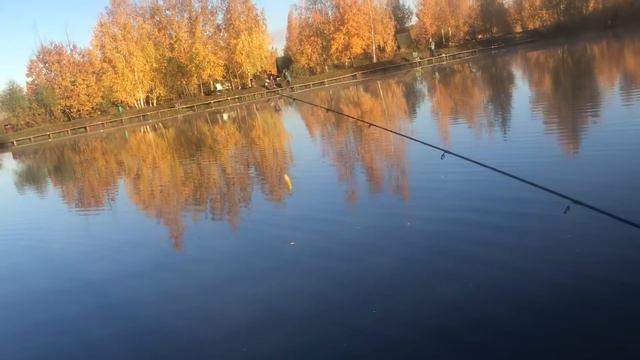 РК Фишка Петряиха смотреть онлайн