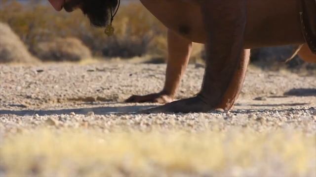 Life of a Survivalist - Interview between Chad Zuber & Caveman Ziko смотреть онлайн