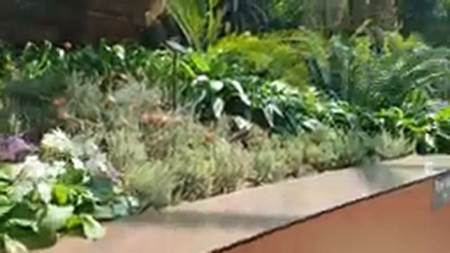 Rừng cây khổng lồ Gardens By The Bay, rừng cây nhân tạo lớn nhất thế giới смотреть онлайн