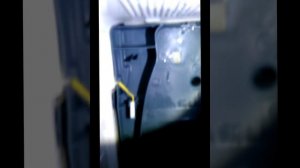 холодильник Samsung RL41 - снятие задней стенки морозильной  камеры.