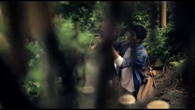 PowerShot SX50 смотреть онлайн