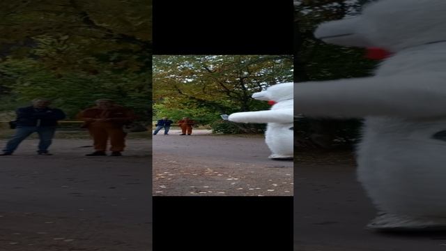 20220915_180806.mp4 смотреть онлайн