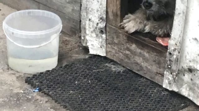 ЧУПАКАБРА – ТАЙНЫ МИРА смотреть онлайн