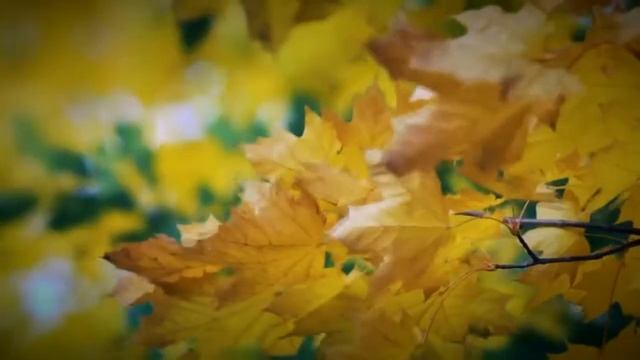 День Матери. 6 класс смотреть онлайн