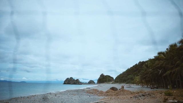 Lobo | Canon RP + RF 50mm F1.8 Cinematic Video