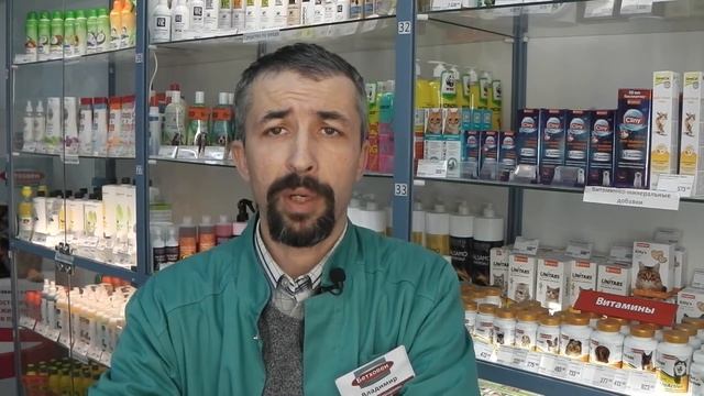 переноска для собаки в самолет смотреть онлайн