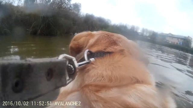 Кэрри Этель Доуз + камера и немного съемки на воде смотреть онлайн