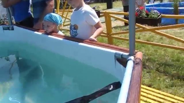 рыба Веслонос. Белагро-2011 смотреть онлайн